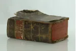 Dr C.L. Willendow - Podręcznik do botaniki, 1817r